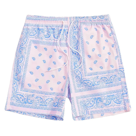 Light Blue & Light Purple Streetwear Shorts